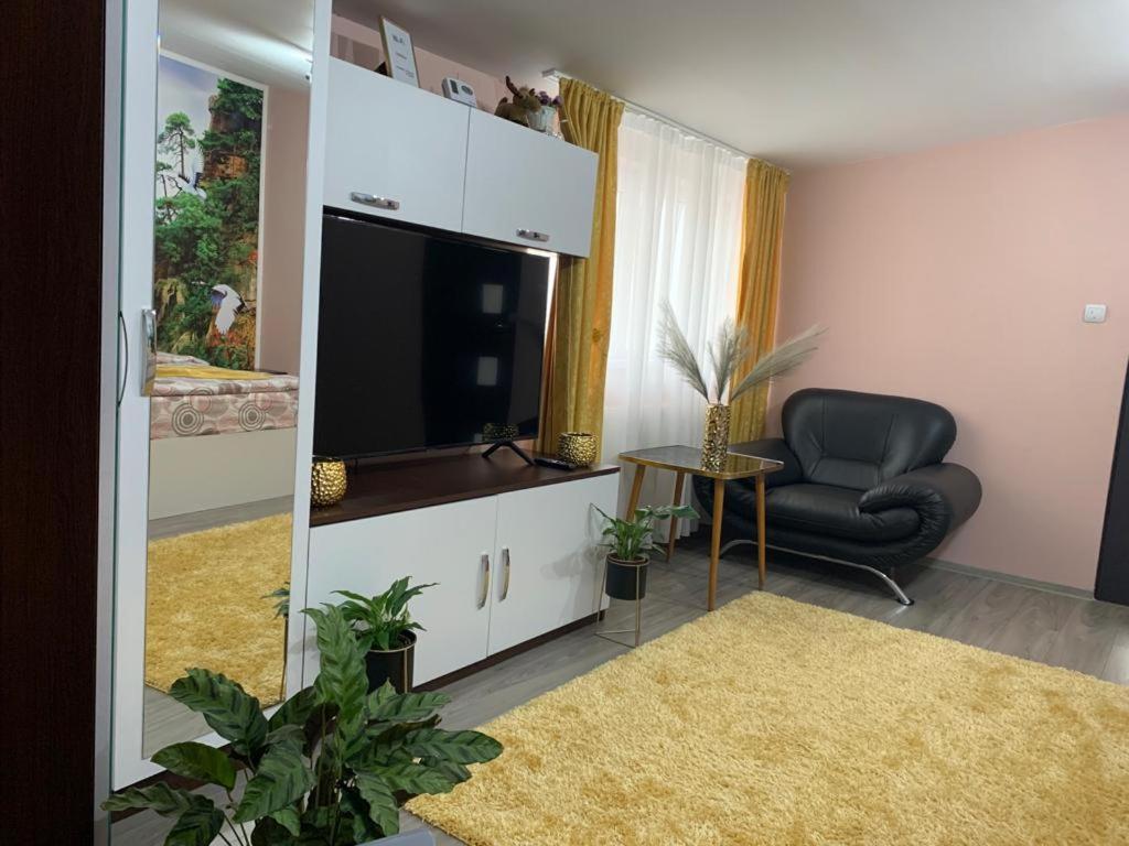 Garsoniera Madalina Apartment Sibiu Exterior photo