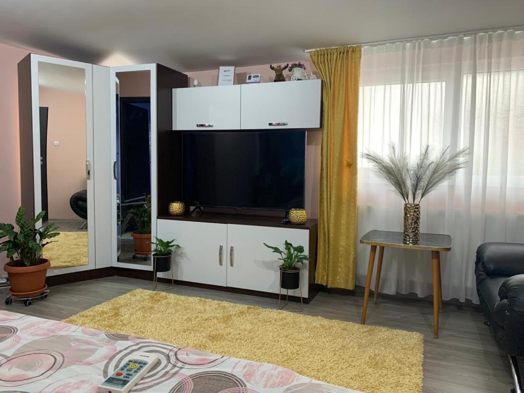Garsoniera Madalina Apartment Sibiu Exterior photo